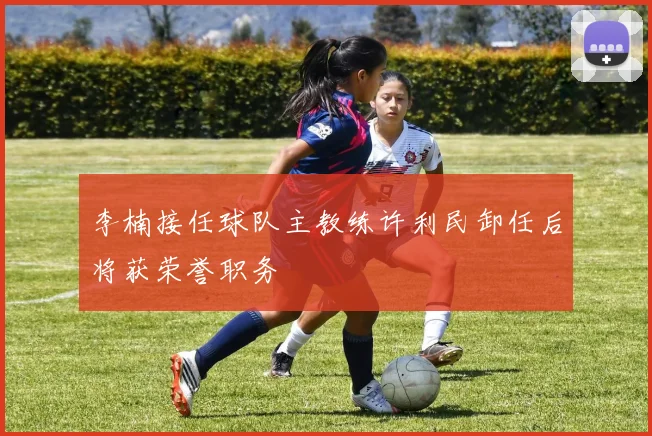 李楠接任球队主教练许利民卸任后将获荣誉职务