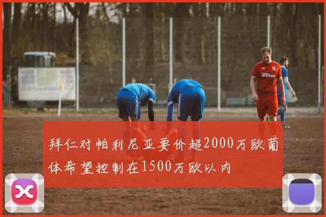 拜仁对帕利尼亚要价超2000万欧葡体希望控制在1500万欧以内